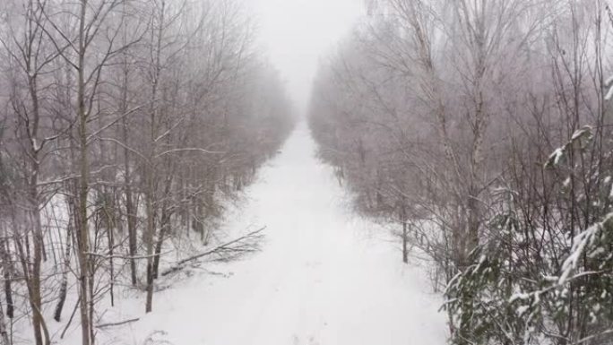 冬季白雪覆盖的松林的鸟瞰图。冬季森林纹理