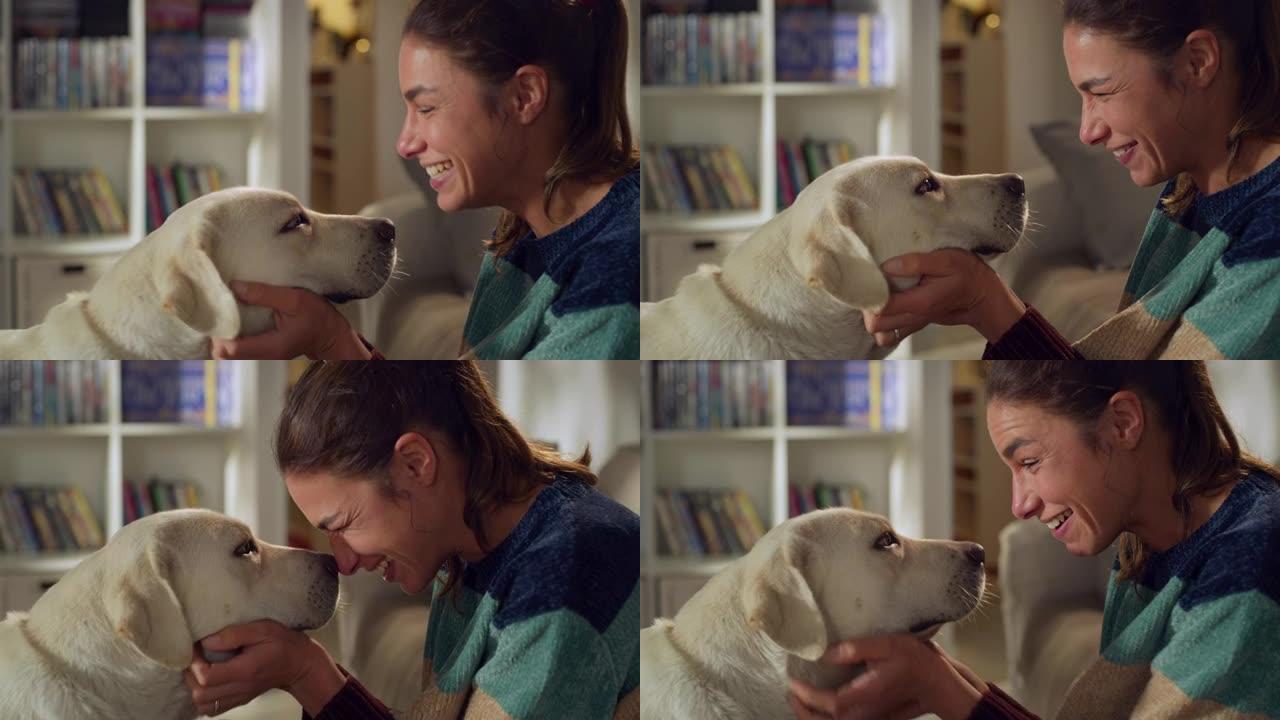 美丽年轻女子的肖像在家里拥抱她可爱的拉布拉多猎犬。女孩和她的狗玩耍，最好的朋友。她抚摸和抓挠超级快乐