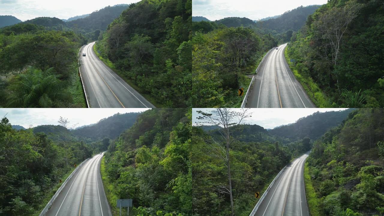 通过棕榈油树种植园的道路鸟瞰图