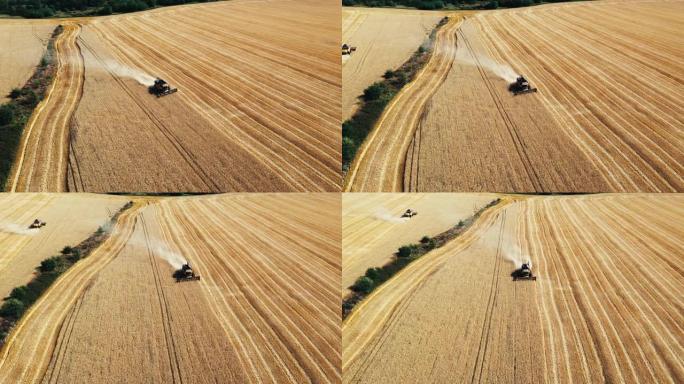 联合收割机收割小麦的鸟瞰图。日落时美丽的麦田。联合收割机在大麦田上工作。