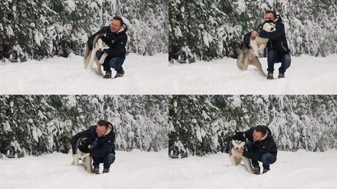 一个男人在森林里拥抱他的西伯利亚哈士奇。背景树在雪地里。眼中的骄傲和幸福。和狗一起散步