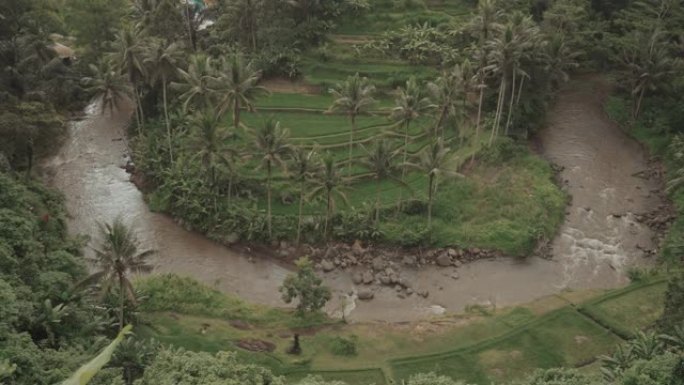 从巴厘岛乌布的萨扬角，可以欣赏到绿色茂密的丛林，河流和稻田的壮丽景色