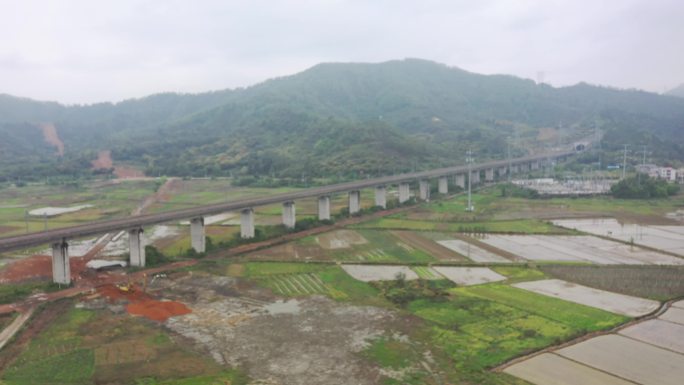 春天稻田高铁动车飞驰