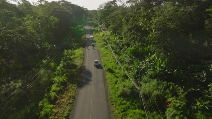 穿越森林的旅程。穿越丛林雨林绿色景观的道路的鸟瞰图