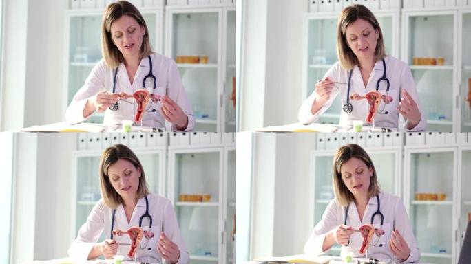 妇科医生在临床4k电影中展示人类子宫和卵巢人工模型的疾病