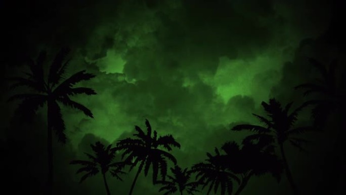 漆黑的夜晚丛林中的棕榈树