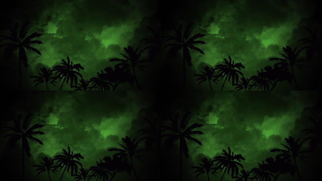 漆黑的夜晚丛林中的棕榈树