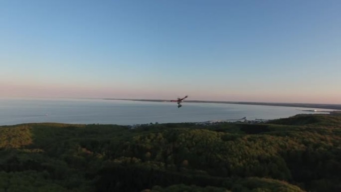 日出时无人机飞越湖岸附近森林的鸟瞰图