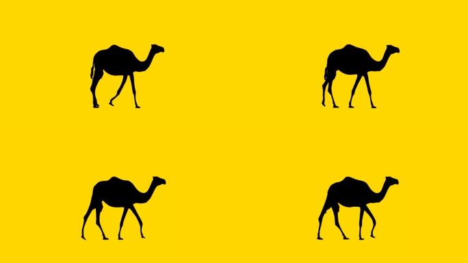 带骆驼的动画