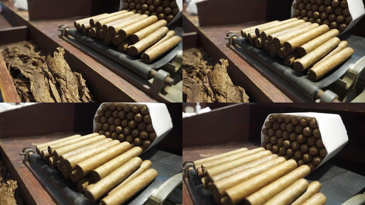干燥的烟叶和新鲜的手卷优质古巴雪茄在木桌上的工厂里。世界上最好的雪茄