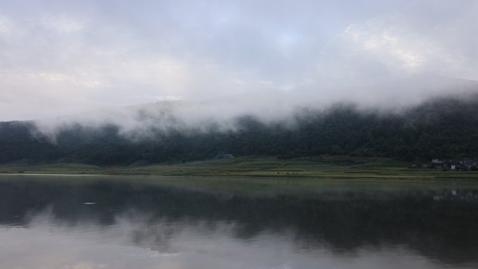 晨雾在湖泊中流动的延时视频