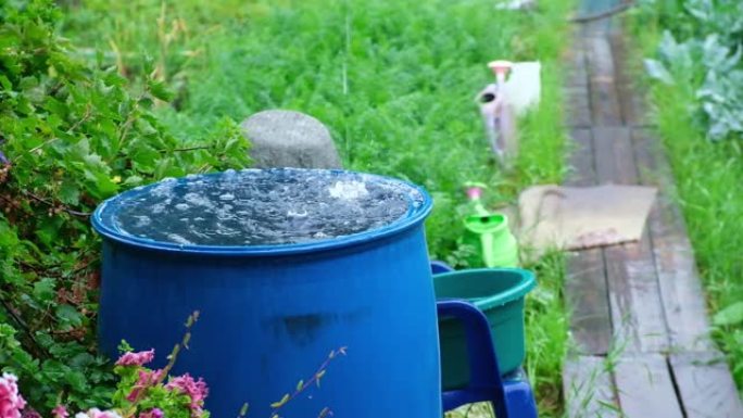 收集雨水的蓝色桶。收集塑料容器中的雨水。