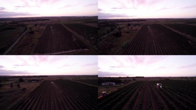空中: 在法国南部收获一片葡萄。