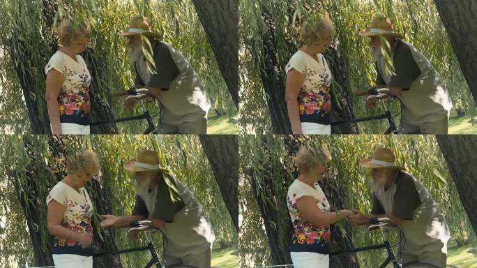老人与老妇人在柳树下交谈