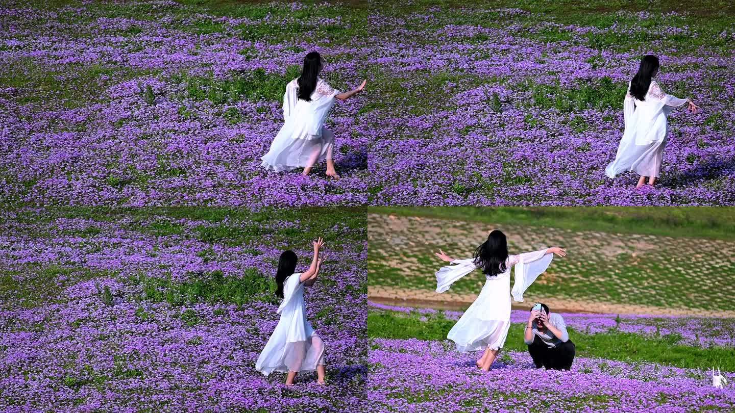 紫色花丛中跳舞的女孩-唯美舞姿-唯美背影