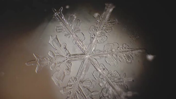 一滴水变成雪花。在显微镜下固定自然过程
