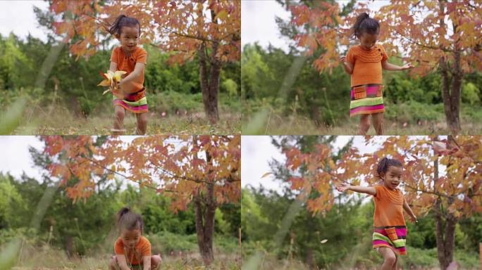 秋天捡树叶的年轻女孩