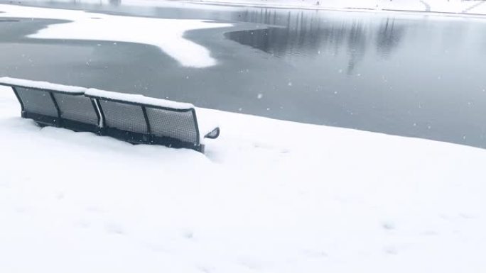 雪落在公园的地面，长凳，湖泊和草地上