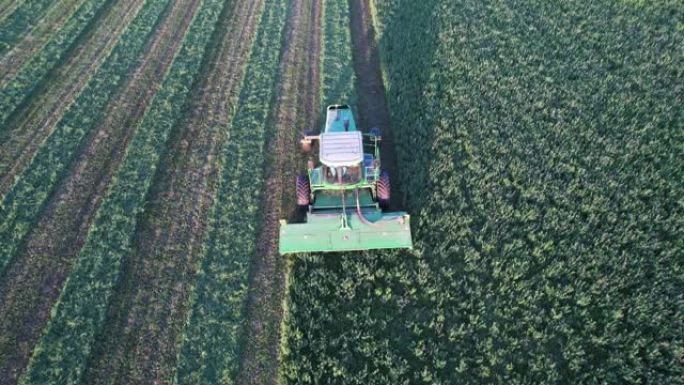 在威斯康星州的门县，约翰迪尔拖拉机上的一名农民在8月末砍伐了他的苜蓿田。