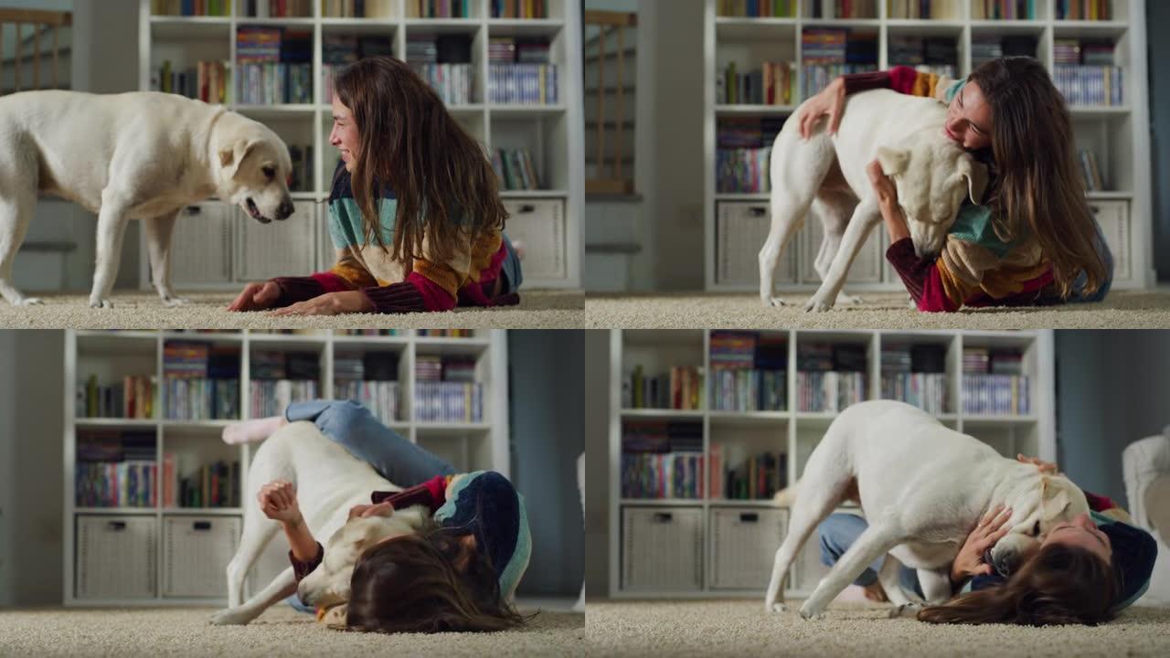 美丽年轻女子的肖像在家里拥抱她可爱的拉布拉多猎犬。女孩和她的狗玩耍，最好的朋友。她宠物抓挠超级快乐的