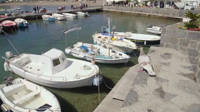 桑特安吉洛村码头上停泊船只和鸽子行走的港口景观