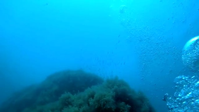 水下氧气气泡对抗悬崖和鱼，溺水的人的观点