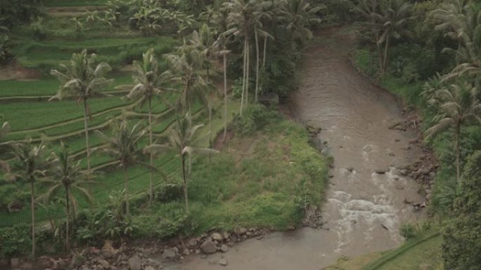 从巴厘岛乌布的萨扬角，可以欣赏到绿色茂密的丛林，河流和稻田的壮丽景色