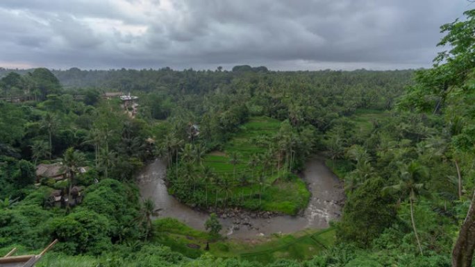 乌布巴厘岛萨扬点的绿色茂密丛林，河流和稻田的时间流逝