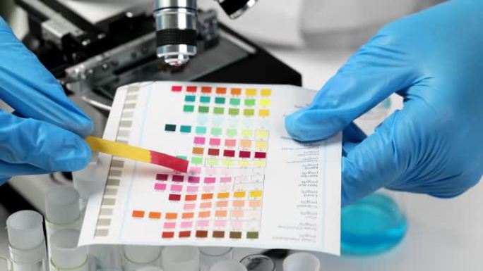 化学家在实验室特写4k电影慢动作中比较彩色石蕊试纸和彩色样品