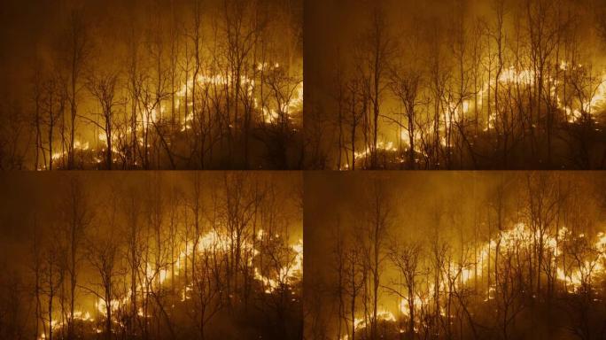气候变化，人为造成的热带森林野火灾害，东南亚环境破坏。