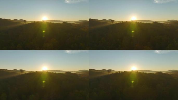 秋季阿巴拉契亚山脉中黄色树林的高山丘鸟瞰图。令人惊叹的野生美国山林风景