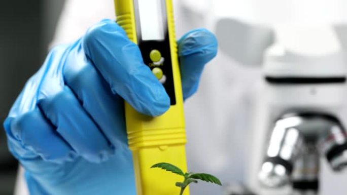 科学家植物学家使用ph计特写4k电影慢动作检查植物发芽的土壤酸度