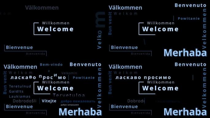 欢迎使用不同欧洲语言的单词云，如瑞典捷克丹麦土耳其德国葡萄牙语西班牙语罗马尼亚法语和波兰语以及乌克兰