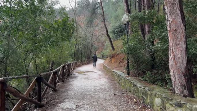 穿着连帽衫的男人在暴雨中走在森林里，阴雨阴沉的第1天