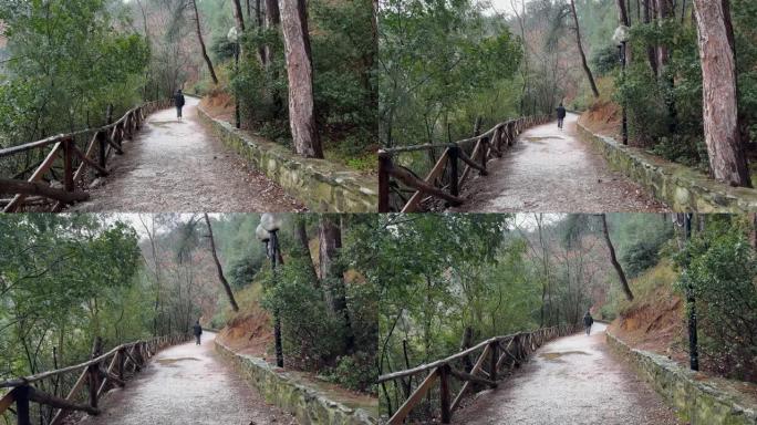 穿着连帽衫的男人在暴雨中走在森林里，阴雨阴沉的第1天