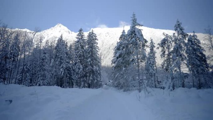 通往雪树线的道路的宽阔视野，后面有山