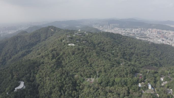 广东省广州白云山顶航拍森林茂盛树林风吹