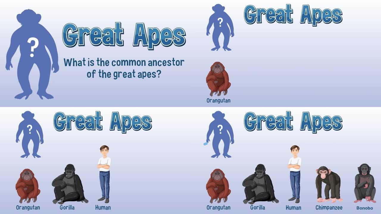 类人猿的共同祖先是什么。