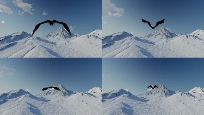 雄鹰老鹰飞过雪山冰山开场片头宣传片大气