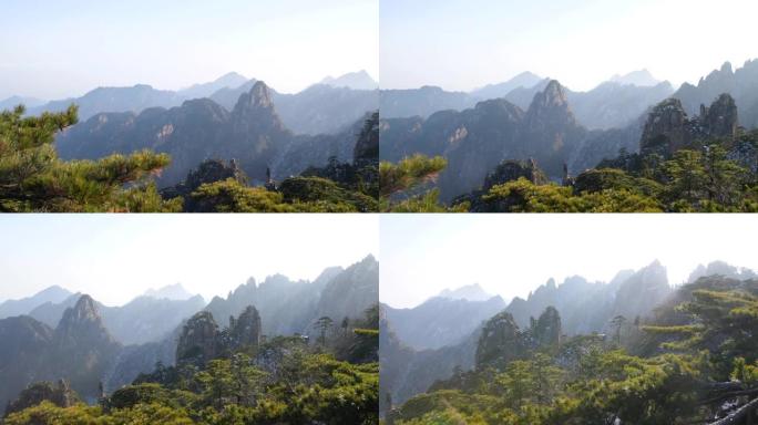 冬季黄山壮丽景观黄山自然风景松树迎客松