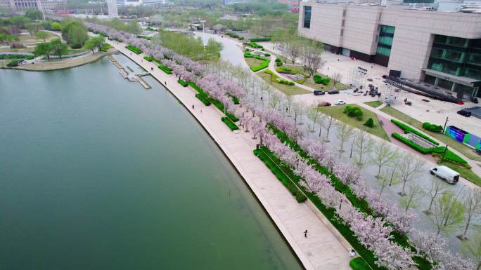 天津文化中心海棠花景观航拍