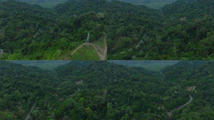 穿过茂密的雨林的蜿蜒小径的俯视图。原始异国林地环境的全景透视。