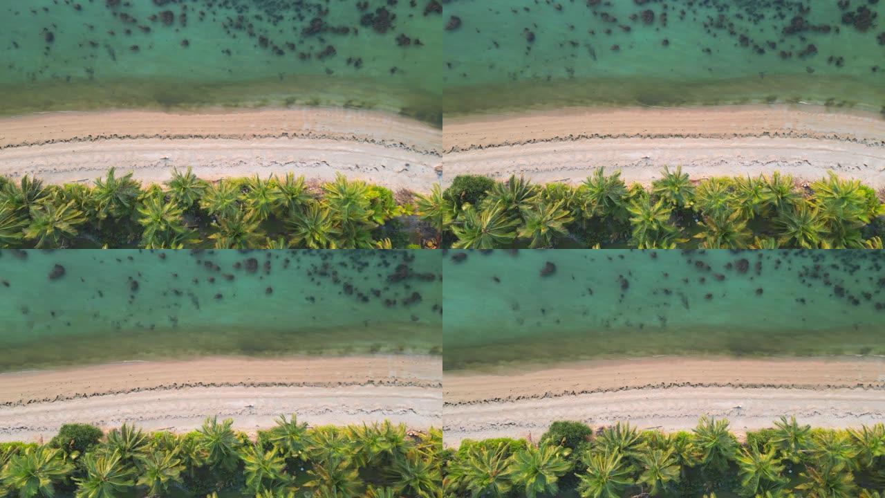 苏梅岛田园诗般的海滩鸟瞰图