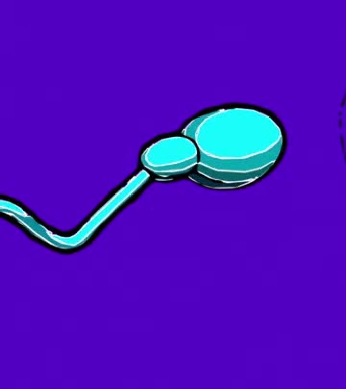 漫画风格的2d垂直视频动画-精子和可育的人类卵子。授精概念。