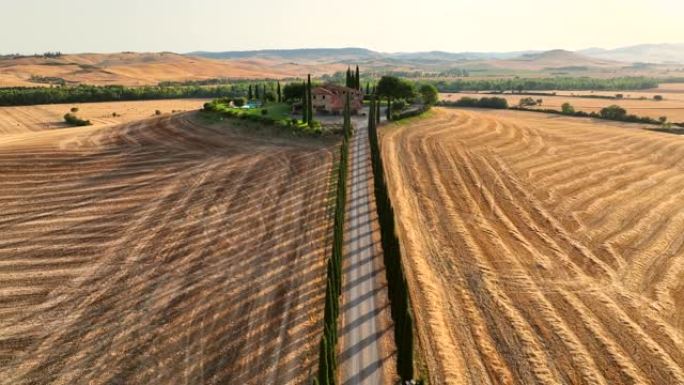 美丽的著名位置风景树木和农业农场的日出曲线收获后在意大利佛罗伦萨瓦尔奥西亚的托斯卡纳，从文艺复兴时期