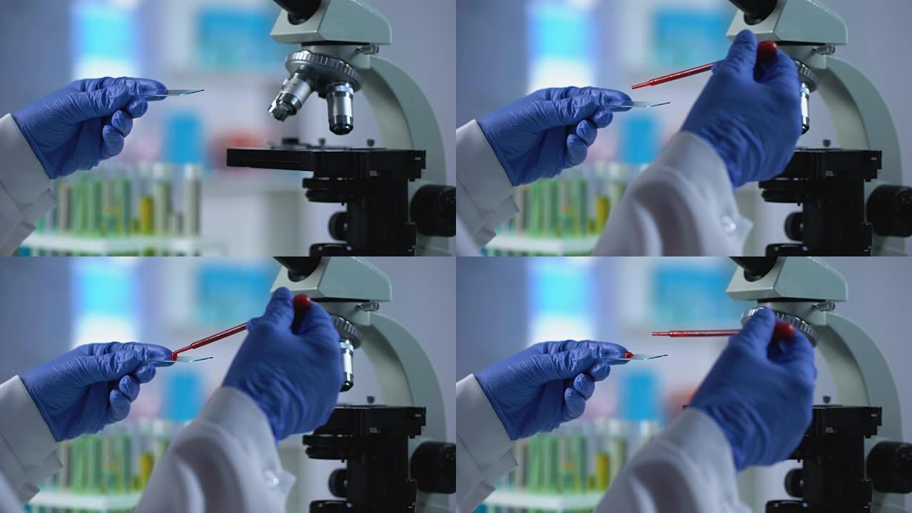 实验室助理采集血液样本进行遗传学检查，微生物学
