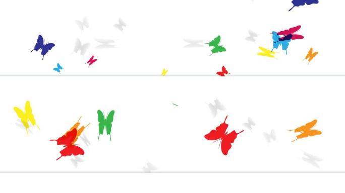 春天。白色背景上的彩色飞蝶。动画抽象插图。无缝回路