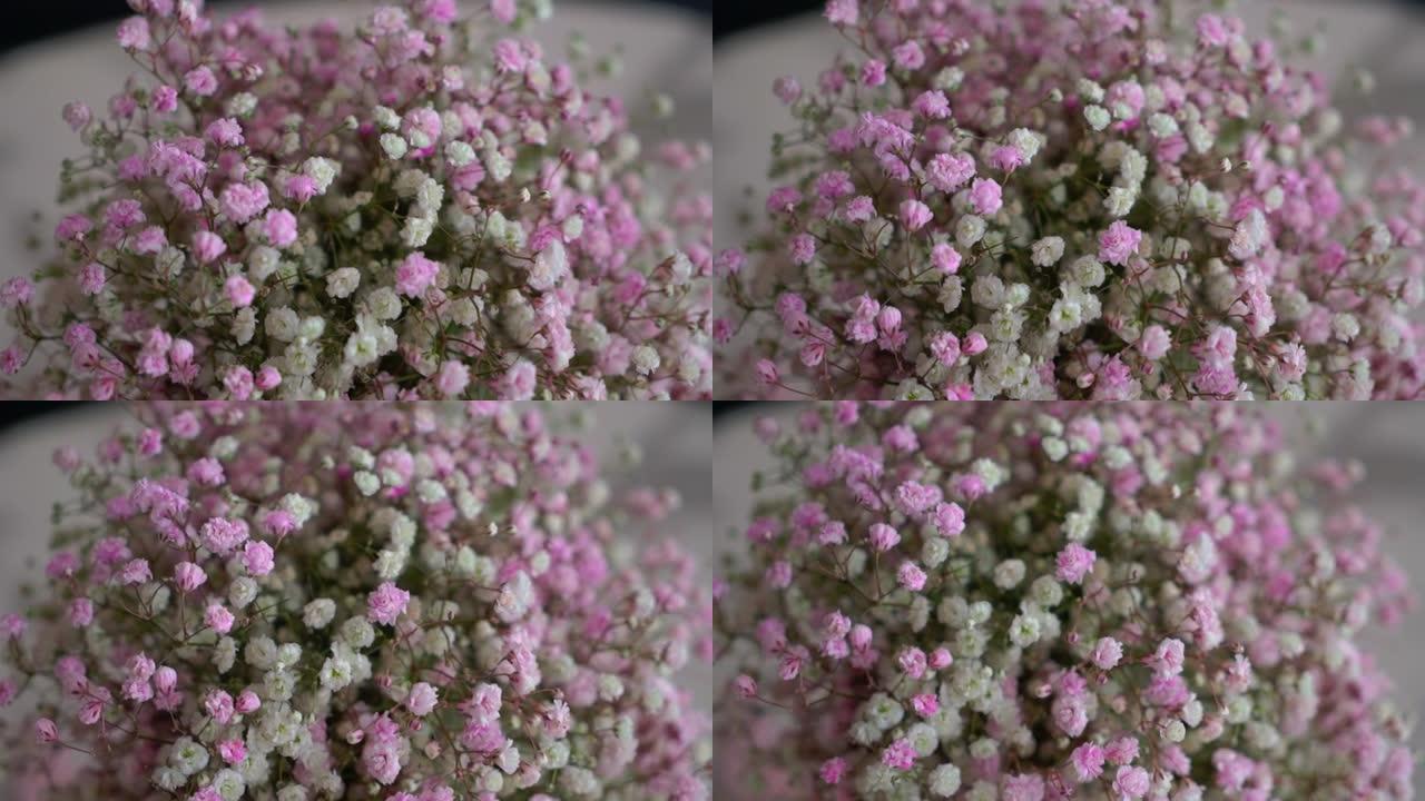一束白色和粉红色的小灌木花。给女人的礼物，节日，婚礼