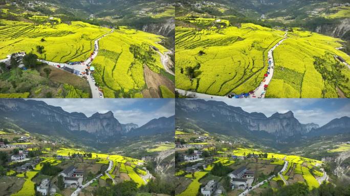 湖北恩施大峡谷田凤坪油菜花海航拍4K