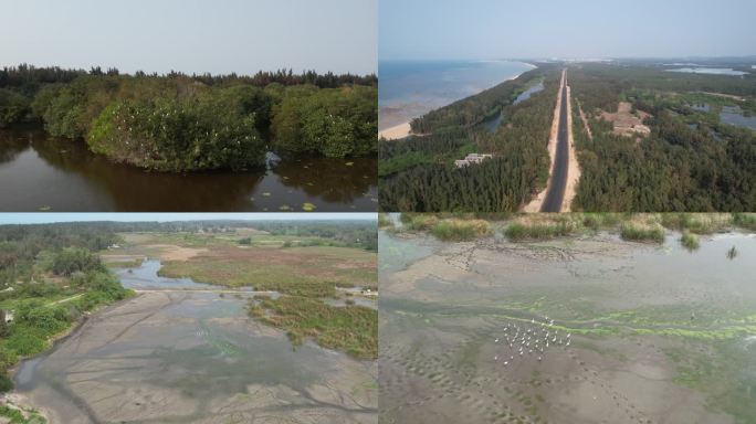 海南环岛旅游公路经过昌江海尾湿地公园